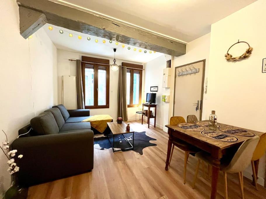 Le Countryside- Hyper Centre Apartment Sens Exterior foto
